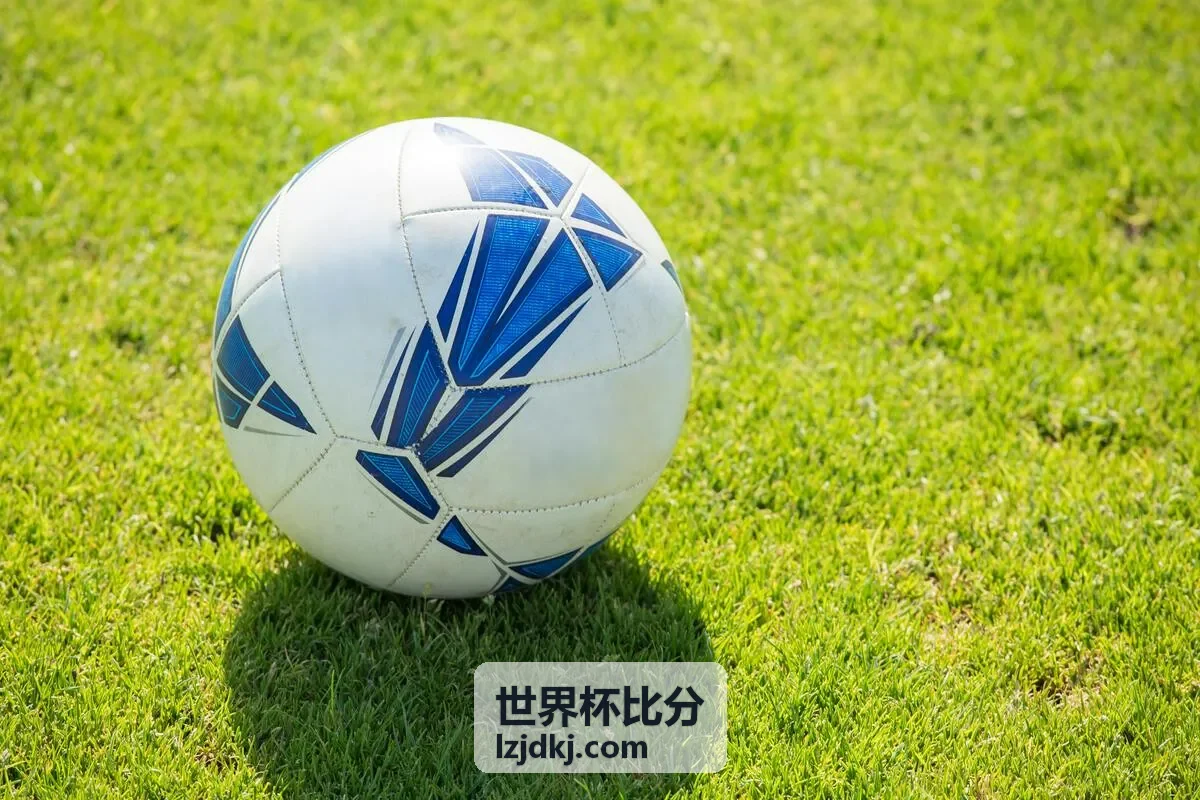 世界杯比分之欧联杯赛事